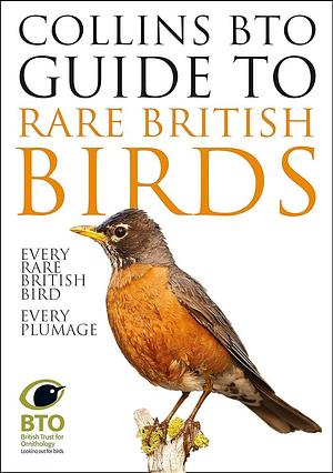 Collins BTO Guide to Rare British Birds by Paul Stancliffe, Paul Sterry