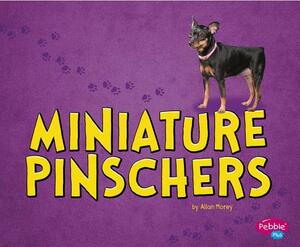 Miniature Pinschers by Allan Morey