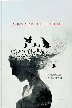 Taking Apart the Bird Trap by Amanda Anastasi