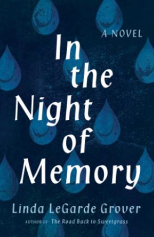 In the Night of Memory by Linda LeGarde Grover