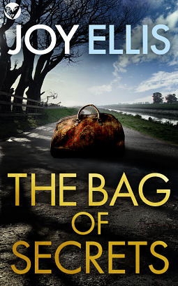 The Bag of Secrets by Joy Ellis