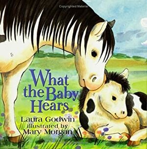 What the Baby Hears by Mary Morgan, Laura Godwin