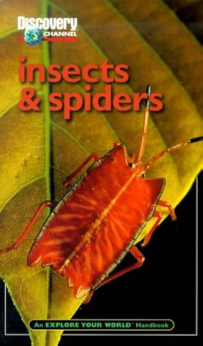 Discovery Channel: Insects & Spiders: An Explore Your World Handbook by David J. Lewis