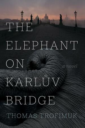 The Elephant on Karlův Bridge by Thomas Trofimuk