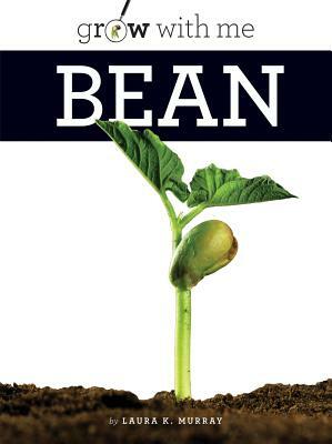 Bean by Laura K. Murray