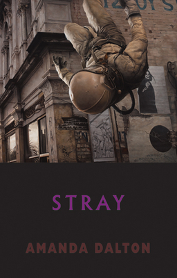 Stray by Amanda Dalton