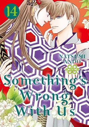 Something's Wrong With Us, Volume 14 by Natsumi Andō