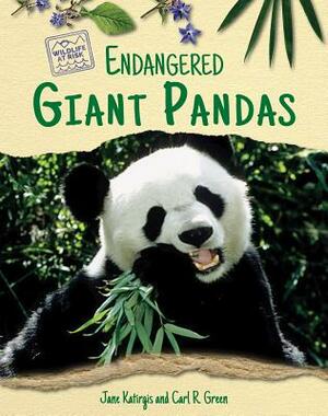 Endangered Giant Pandas by Jane Katirgis