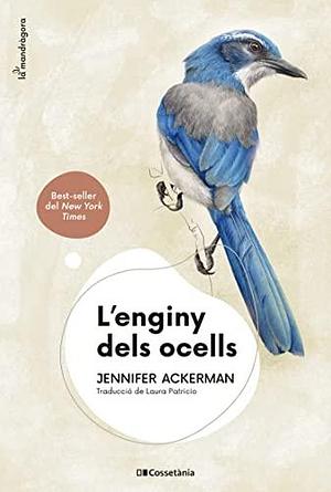 L'enginy dels ocells by Jennifer Ackerman, Laura Patricio