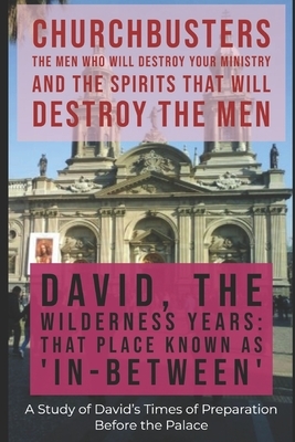 David: The Wilderness Years (That Place Known as "In-Between") - A Study of David's Times of Preparation Before the Palace by Steven a. Wylie