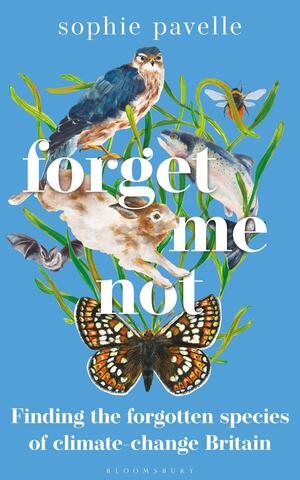 Forget Me Not: Finding the forgotten species of climate-change Britain by Sophie Pavelle