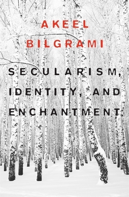 Secularism, Identity, and Enchantment by Akeel Bilgrami