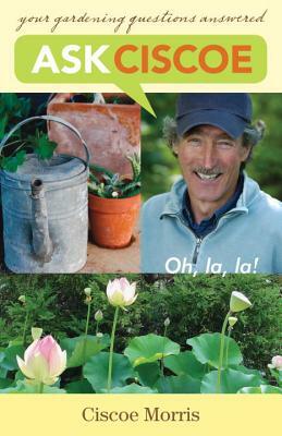 Ask Ciscoe: Oh, La, La! Your Gardening Questions Answered by Ciscoe Morris