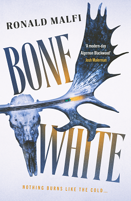 Bone White: A gripping suspenseful horror thriller by Ronald Malfi