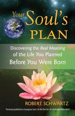 Your Soul's Plan: Discovering the Real Meaning of the Life You Planned Before You Were Born by Robert Schwartz