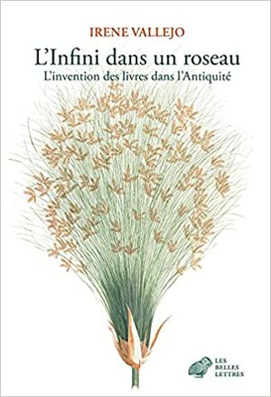 L'Infini Dans Un Roseau: L'Invention Des Livres Dans l'Antiquite by Irene Vallejo
