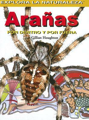 Aranas: Por Dentro y Por Fuera = Spiders by Gillian Houghton