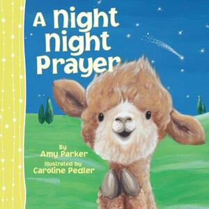 A Night Night Prayer by Amy Parker