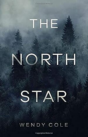 The North Star: A New Adult Romance by Wendy Cole
