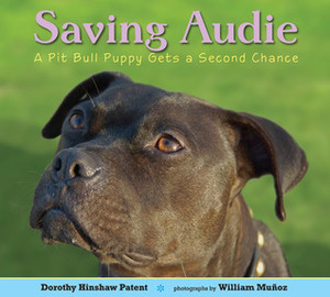 Saving Audie: A Pit Bull Puppy Gets a Second Chance by William Muñoz, Dorothy Hinshaw Patent