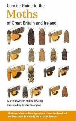 Concise Guide To The Moths Of Great Britain And Ireland by Martin Townsend, Paul Waring