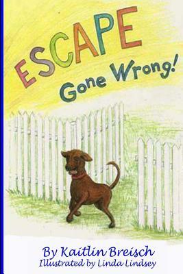 Escape Gone Wrong! by Kaitlin Breisch