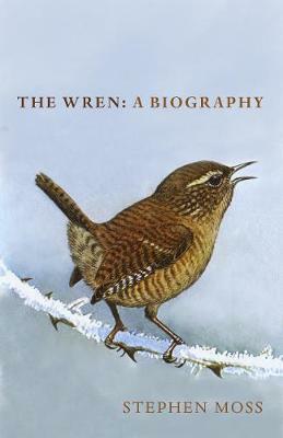 The Wren: A Biography by Stephen Moss