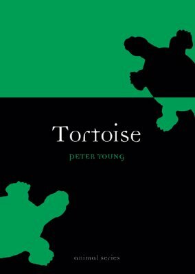 Tortoise by Peter Young