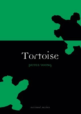 Tortoise by Peter Young
