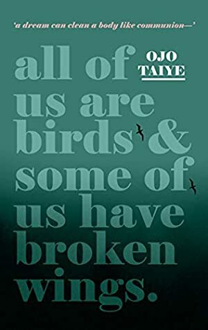 All of Us are Birds and Some of Us Have Broken Wings by Ojo Taiye