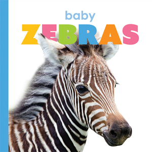 Baby Zebras by Kate Riggs