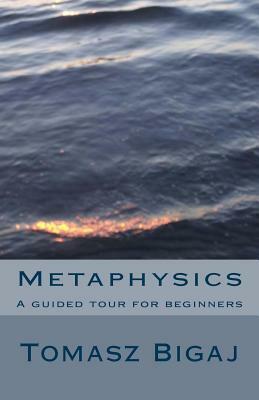 Metaphysics: A guided tour for beginners by Tomasz Bigaj