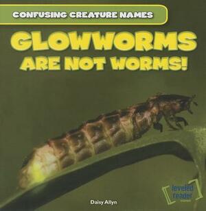 Glowworms Are Not Worms! by Daisy Allyn