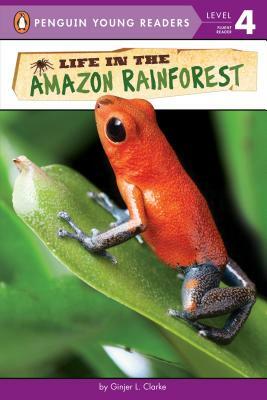 Life in the Amazon Rainforest by Ginjer L. Clarke
