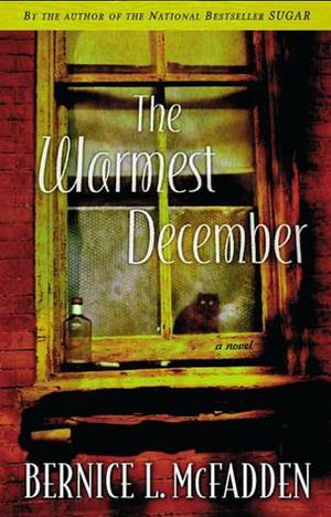 The Warmest December by Bernice L. McFadden