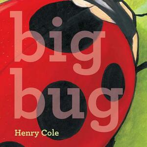 Big Bug by Henry Cole
