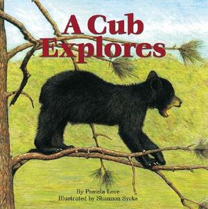 A Cub Explores by Pamela Love
