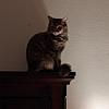 jtlarowe's profile picture