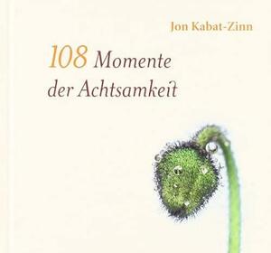 108 Momente der Achtsamkeit by Jon Kabat-Zinn