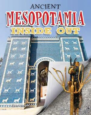 Ancient Mesopotamia Inside Out by Ellen Rodger