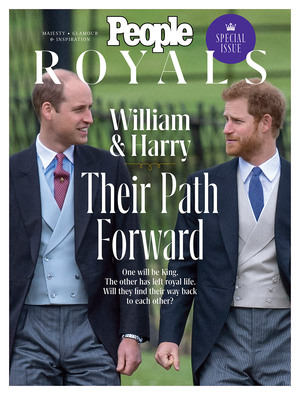 William & Harry: Their Path Forward  by Stéphanie Petit, Sam Gillette