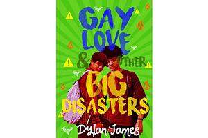 Gay Love and Other Big Disasters by Dylan James