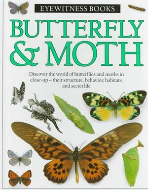 Butterfly & Moth by Paul Whalley