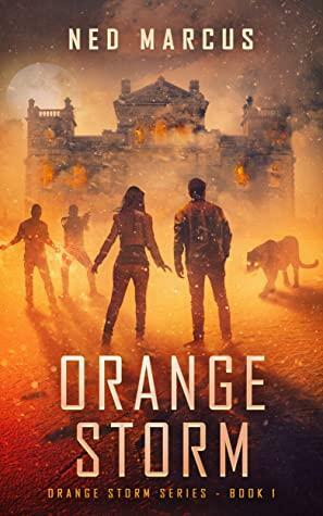 Orange Storm by Ned Marcus