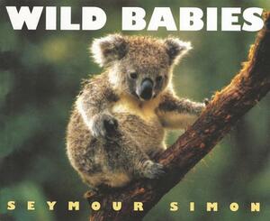 Wild Babies by Seymour Simon