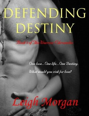 Defending Destiny by Leigh Morgan