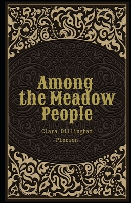 Among the Meadow People Illustrated by Clara Dillingham Pierson