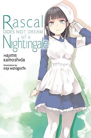 Rascal Does Not Dream of a Nightingale (light novel) (Rascal Does Not Dream by Keji Mizoguchi, Tsugumi Nanamiya, Tsugumi Nanamiya, Hajime Kamoshida