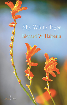Shy White Tiger by Richard W. Halperin