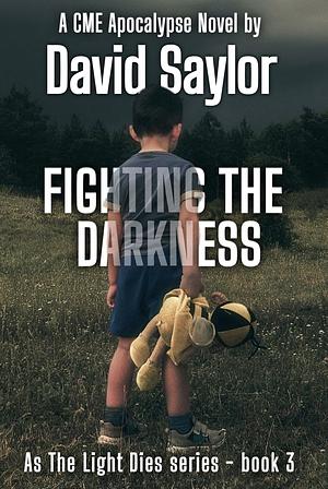 Fighting the Darkness  by David Saylor